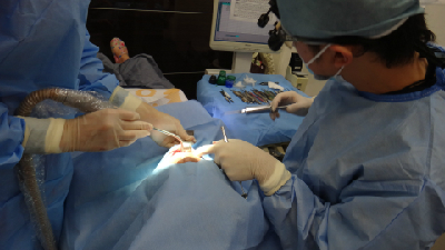 八潮市で歯周再生療法（エムドゲイン）するなら「BiVi歯科・矯正歯科」